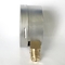 O calibre de pressão do radial do SUS 304 600 mbar grita a conexão de bronze do manômetro